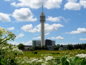 Nederlandse hosting te Waarderpolder Haarlem EvoSwitch